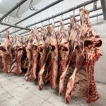 carne